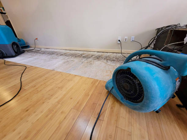 Professional Structural Drying technician working in Greeley, CO